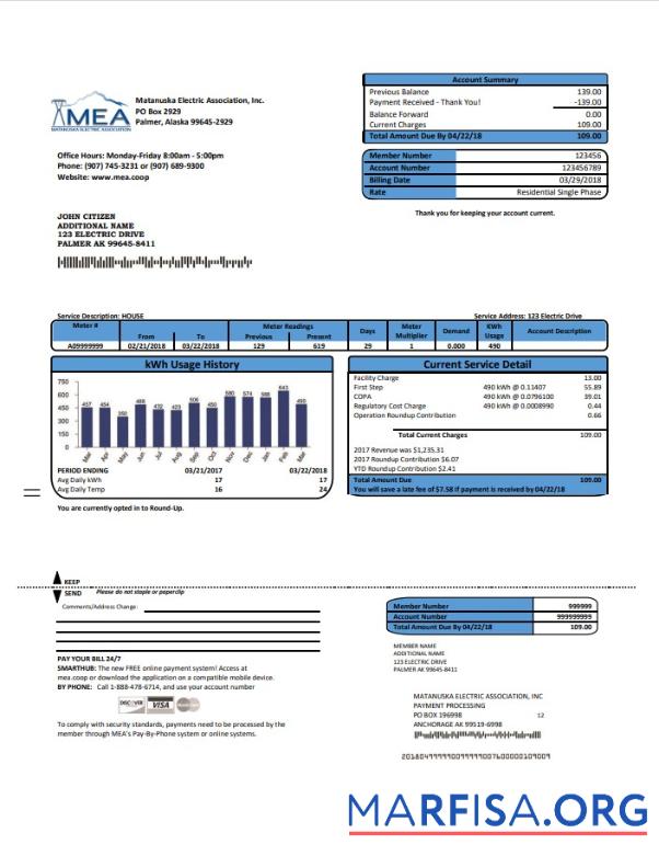 Printable USA MEA Alaska electricity utility bill template in Word and PDF format